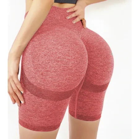 Sexy Seamless  Women Yoga/Running Booty & Tummy Control Gym  Shorts
